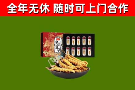 聊城市回收冬虫夏草价格