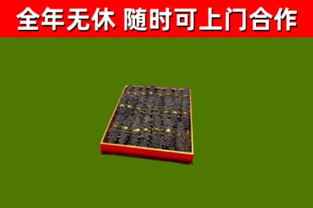 聊城市回收海参